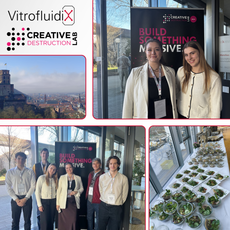 Creative Destruction Lab