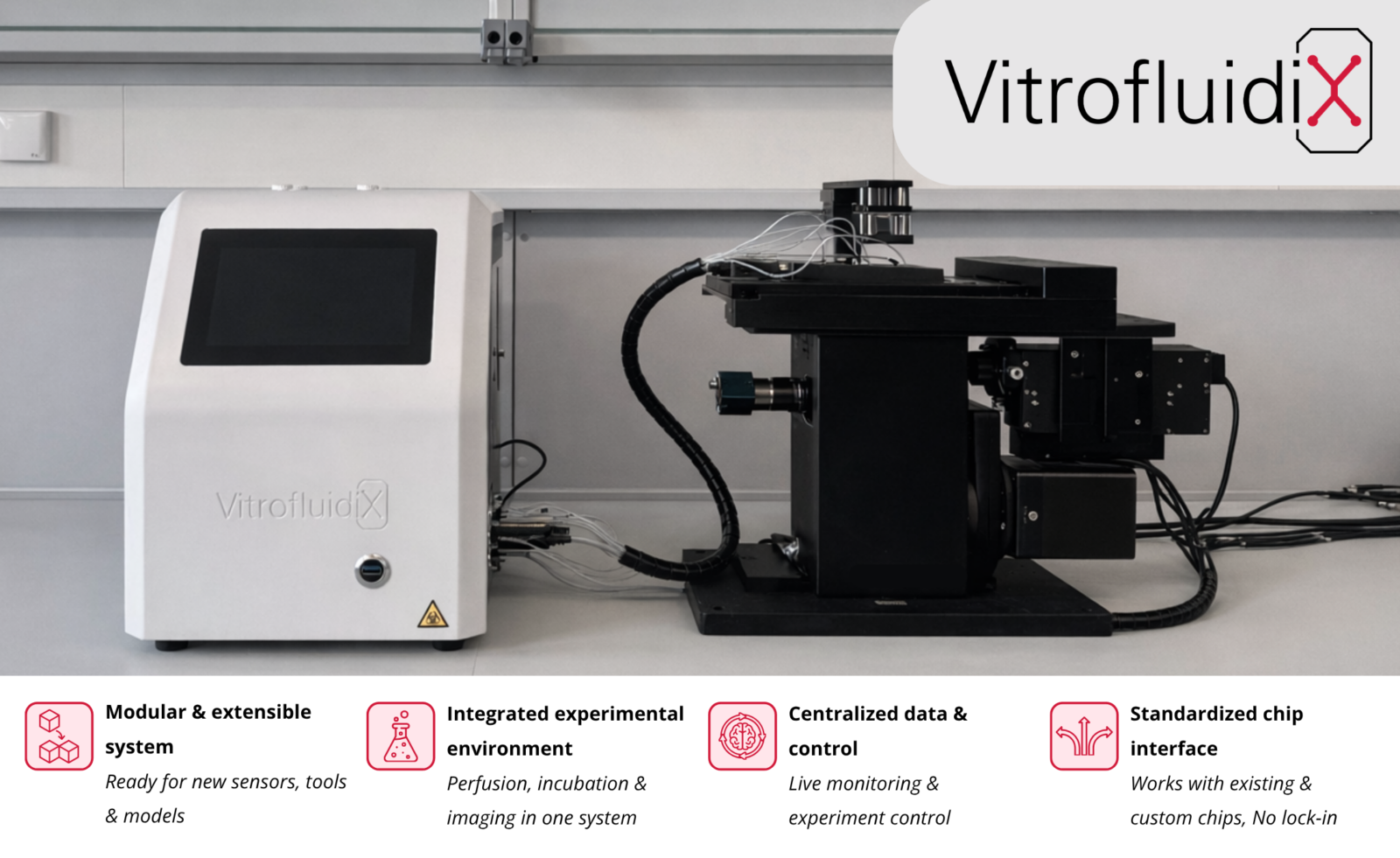 Organ on a chip